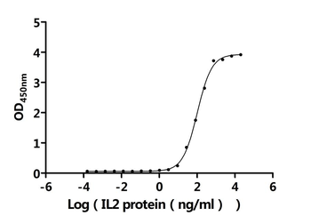 Recombinant Macaca fascicularis Interleukin-2 receptor subunit alpha (IL2RA), partial (Active)