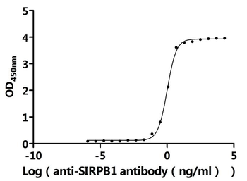 Recombinant Human Signal-regulatory protein beta-1 (SIRPB1), partial (Active)