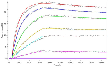 Recombinant Human Signal-regulatory protein beta-1 (SIRPB1), partial (Active)