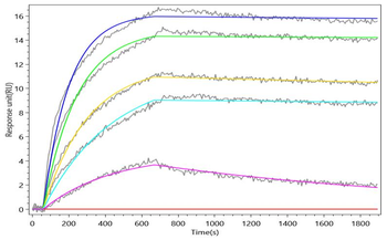 Recombinant Human Interleukin-21 (IL21) (Active)