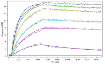 Recombinant Human Interleukin-21 (IL21) (Active)