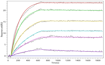 Recombinant Human Hepatitis A virus cellular receptor 1 (HAVCR1), partial