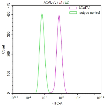 ACADVL Antibody
