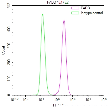 Fadd Antibody