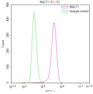 MALT1 Antibody