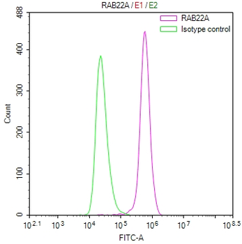 RAB22A Antibody