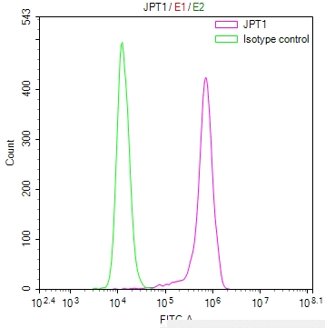 JPT1 Antibody