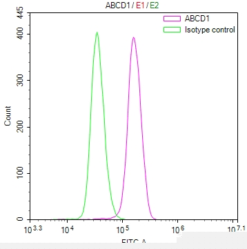 ABCD1 Antibody