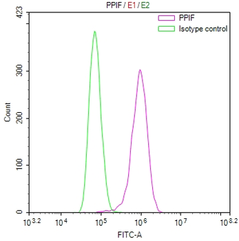 PPIF Antibody