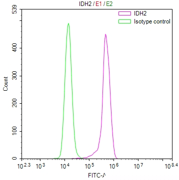 IDH2 Antibody