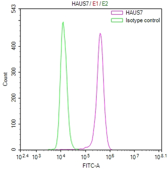 HAUS7 Antibody