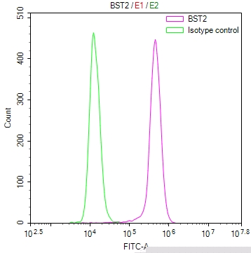 BST2 Antibody