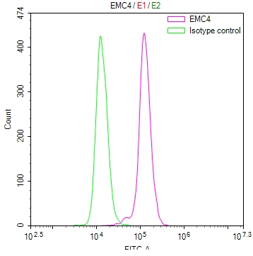 EMC4 Antibody
