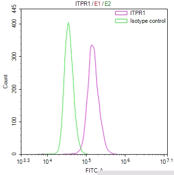 ITPR1 Antibody