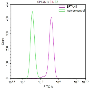 SPTAN1 Antibody