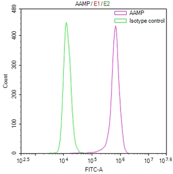 AAMP Antibody