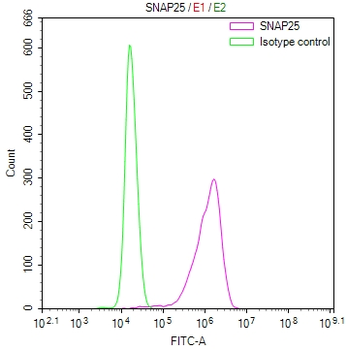 SNAP25 Antibody