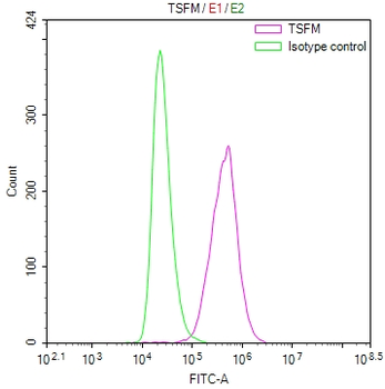 TSFM Antibody