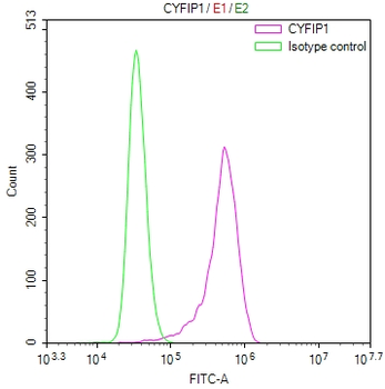 CYFIP1 Antibody