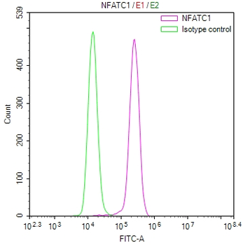 NFATC1 Antibody