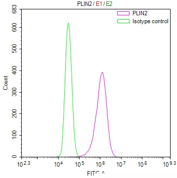PLIN2 Antibody