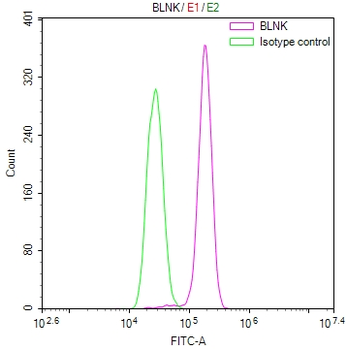 BLNK Antibody