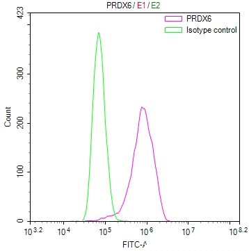 PRDX6 Antibody