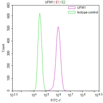 UFM1 Antibody
