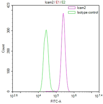 Icam2 Antibody