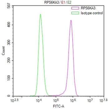 RPS6KA3 Antibody