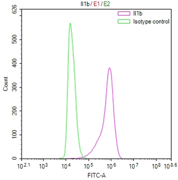 Il1b Antibody