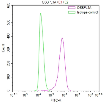OSBPL1A Antibody