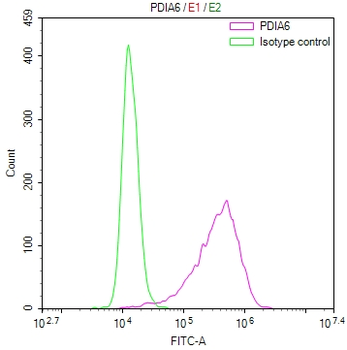 PDIA6 Antibody