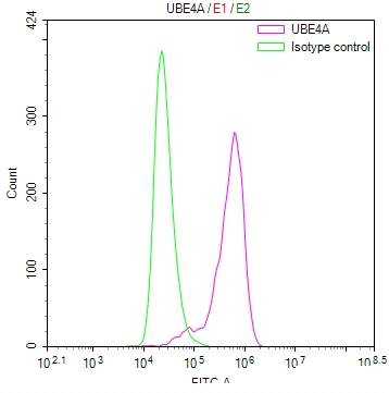 UBE4A Antibody