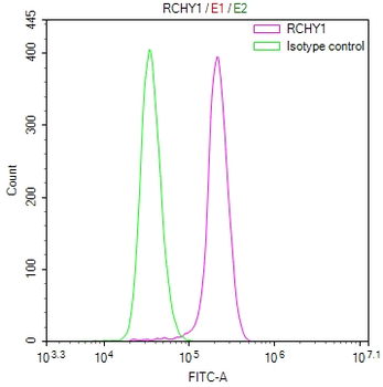 RCHY1 Antibody