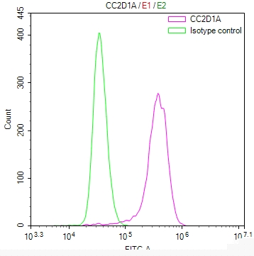 CC2D1A Antibody