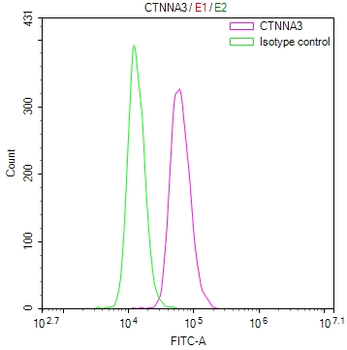 CTNNA3 Antibody