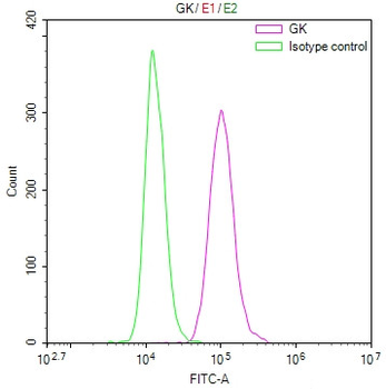 GK Antibody