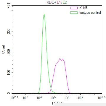 KLK5 Antibody