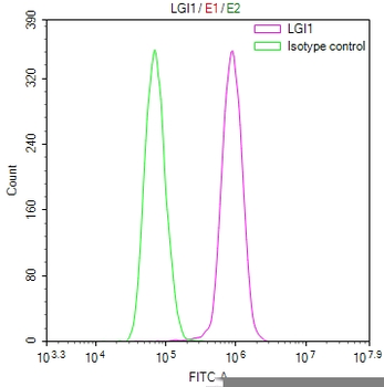 LGI1 Antibody