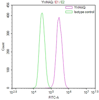 YWHAQ Antibody