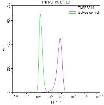 TNFRSF19 Antibody