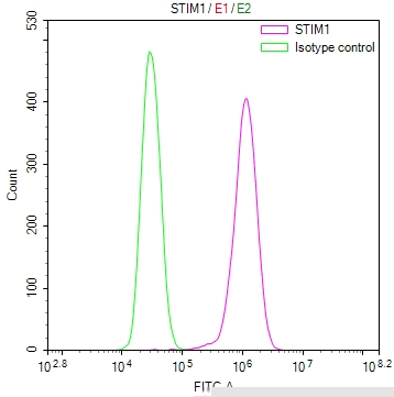 STIM1 Antibody