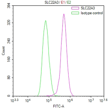 SLC22A3 Antibody