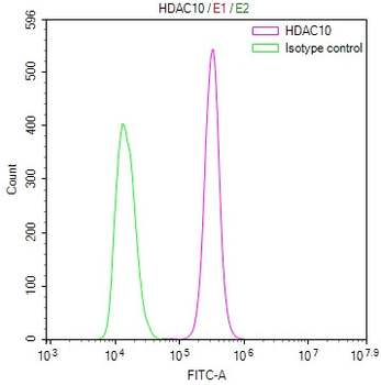 HDAC10 Antibody