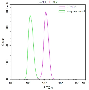 CCND3 Antibody