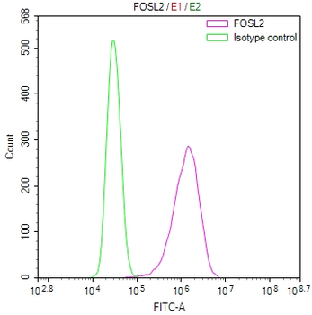 FOSL2 Antibody