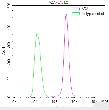 ADA Antibody