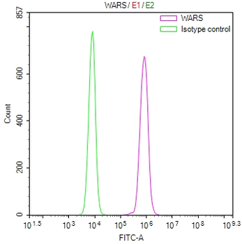 WARS Antibody
