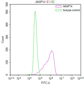 AKAP14 Antibody